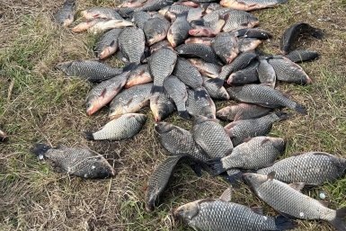 Майская рыбалка на Сартлане: омичи открыли сезон с хорошим уловом  📷
