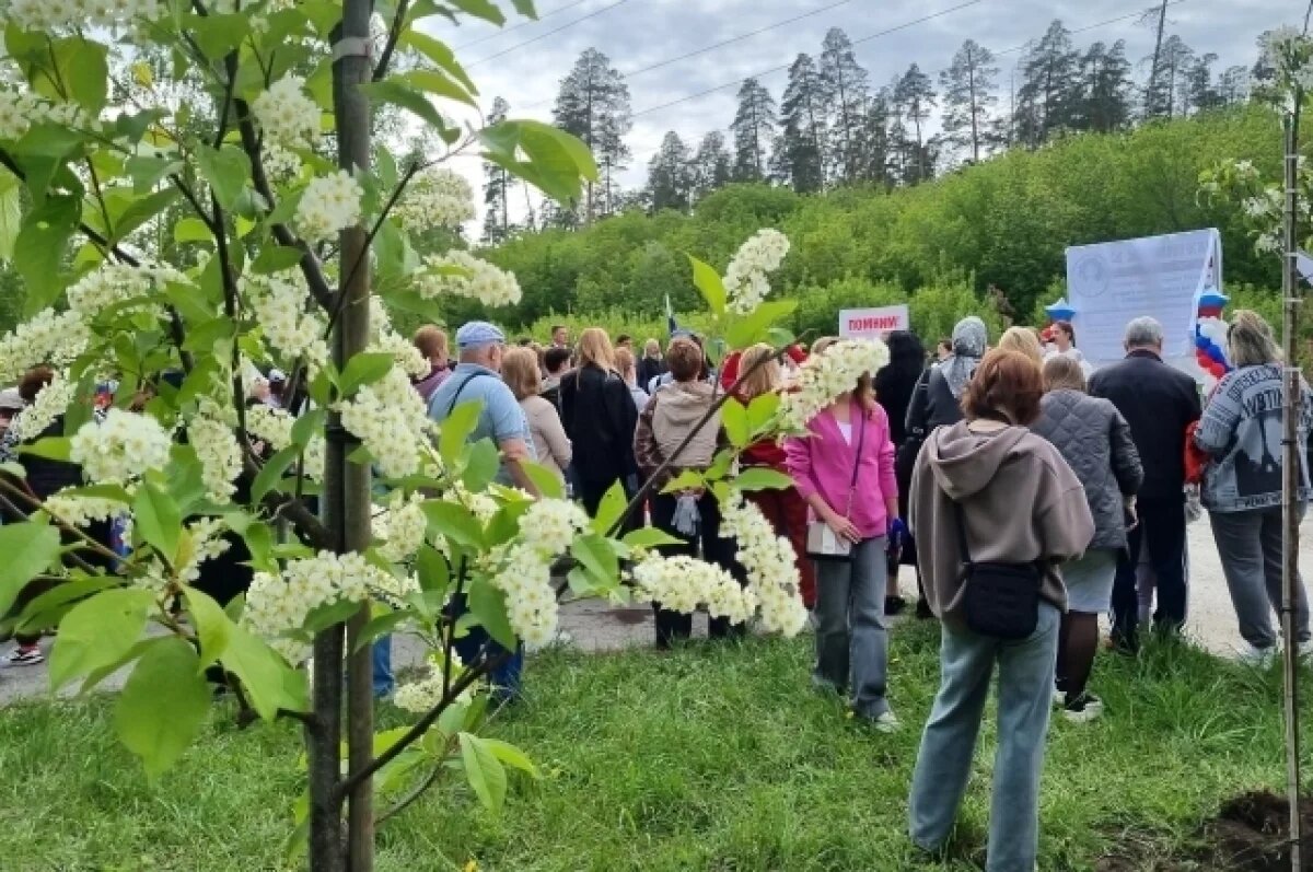    Жители Тольятти высадили сад Защитников Отечества