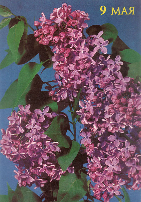 Очень нравится эта старая открытка (фото из свободного источника)