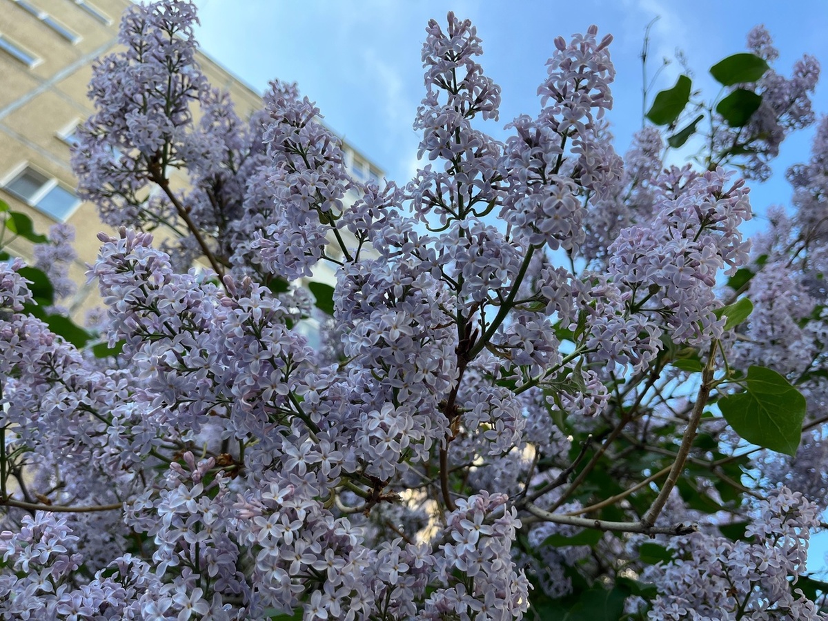    Фото: «Про Город»