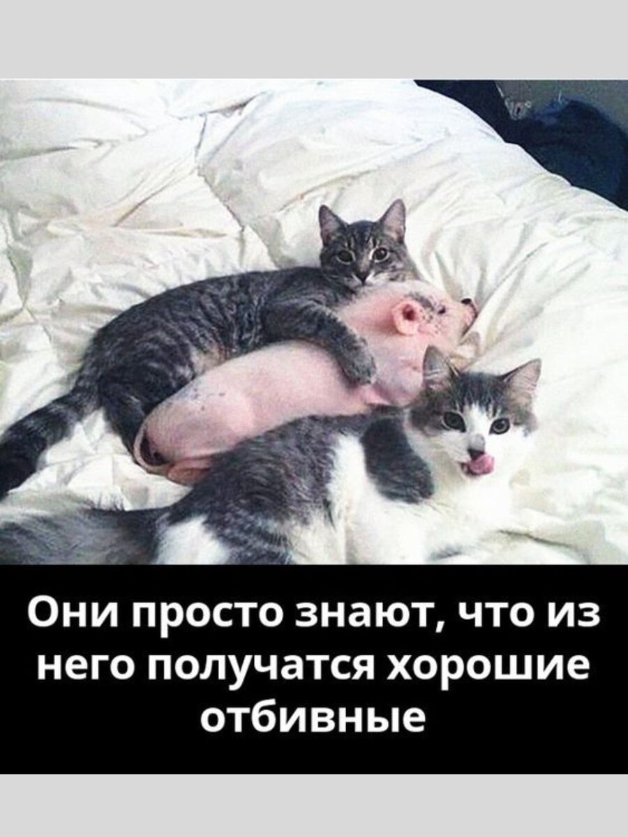 -3