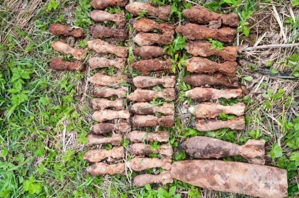    В Тверской области обезврежены боеприпасы времен ВОВ