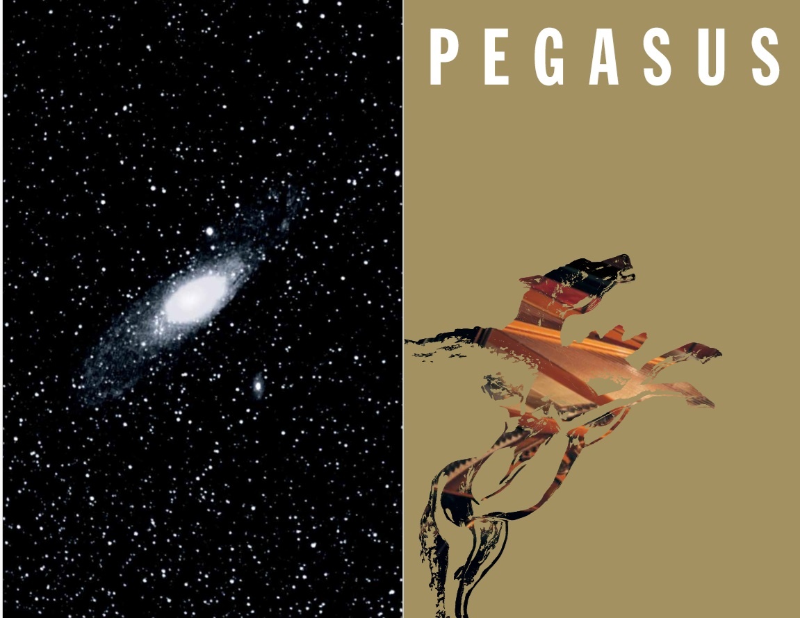 Разворот обложки фирменного буклета: космос и крылатый конь