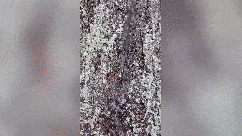 Нравится Формат? Поддержи Канал Лайком и напиши какой эпизод понравился больше всех
