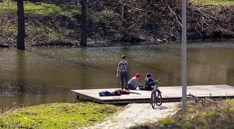 Фото: Алексей Дацковский
