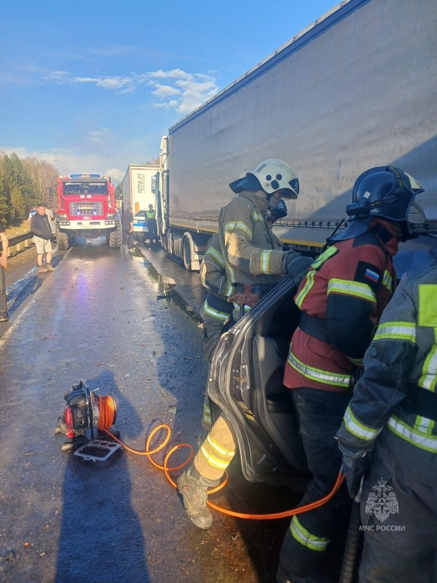    Фото: МЧС Красноярского края / Telegram