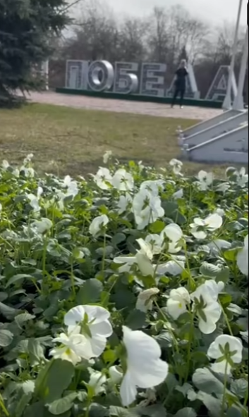    кадр из видео