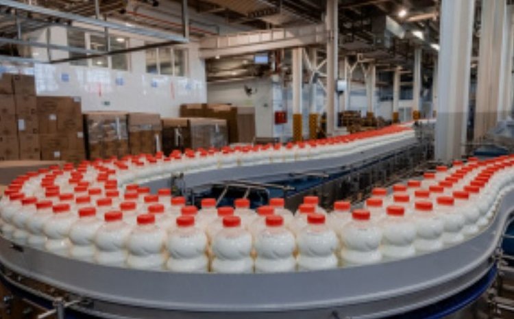    В Липецкой области молоко перерабатывают 25 современных предприятий