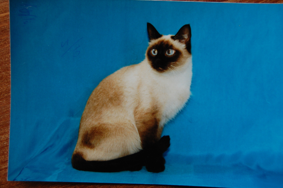 Это я, та самая Омега