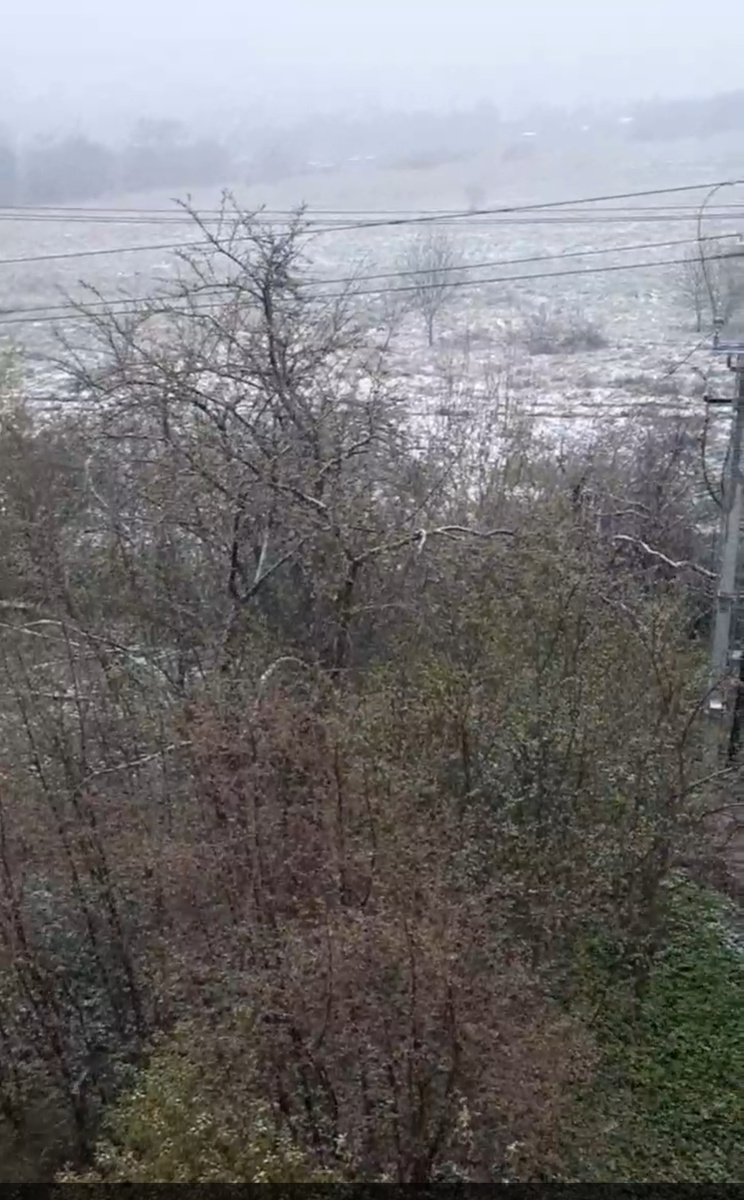 Мама прислала утром 8 мая вид с балкона- снег, снег, снег 😞😞😞 