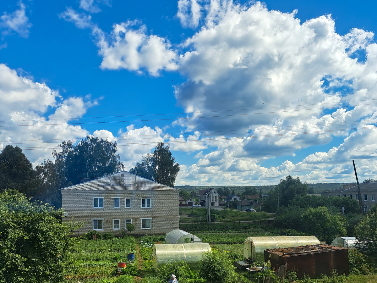 Есть ряд запретов, которые нужно соблюдать.  Фото: Фото: ФедералПресс / Вера Романескул