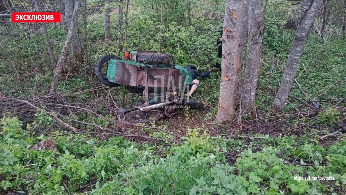 ДТП в Бежаницком районе
Фото: Telegram-канал «Псковская сводка. ПАИ»