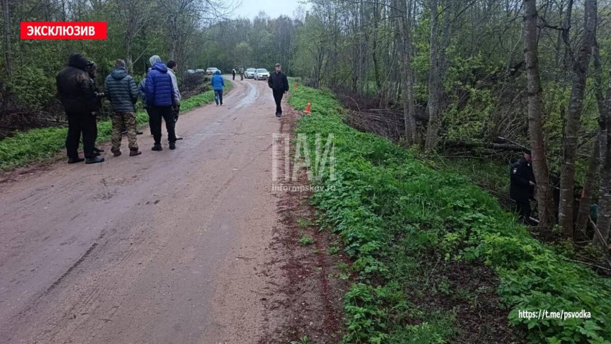 ДТП в Бежаницком районе
Фото: Telegram-канал «Псковская сводка. ПАИ»