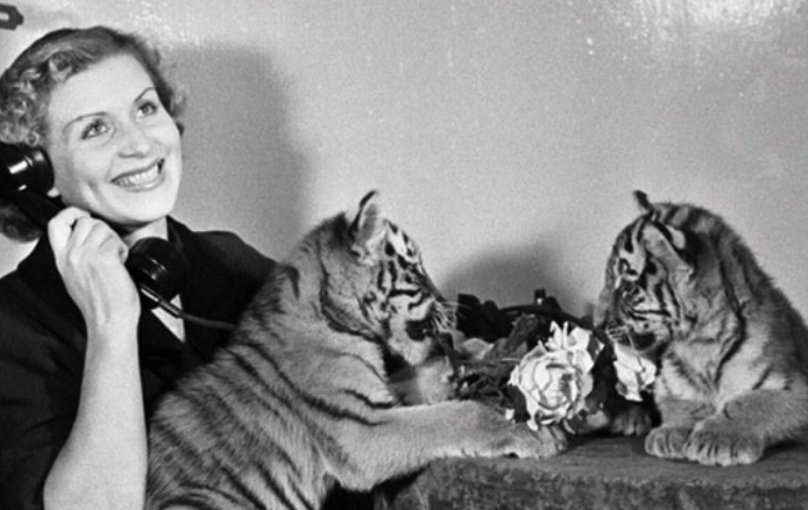 Маргарита Назарова