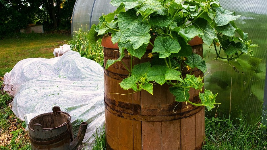 Фото здесь и далее Unsplash