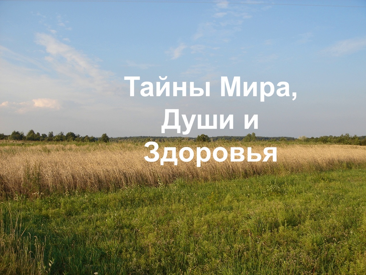 Авторский канал (вводный инструктаж)