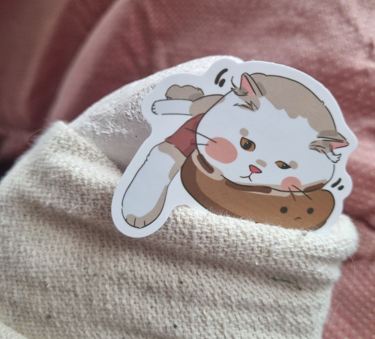 Настроение у гипса - котик😴