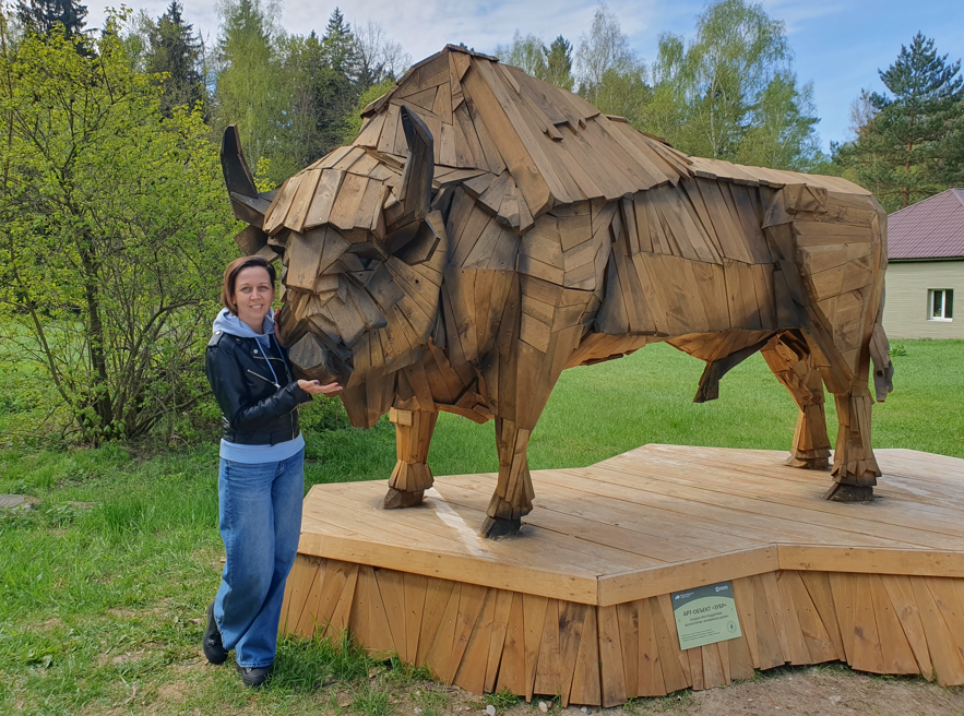 Зубр, к которому не страшно подойти и можно погладить