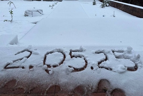 Изображение взято из открытых источников