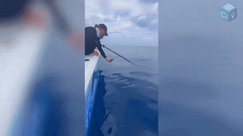 Нравится Формат? Поддержи Канал Лайком и напиши какой эпизод понравился больше всех
