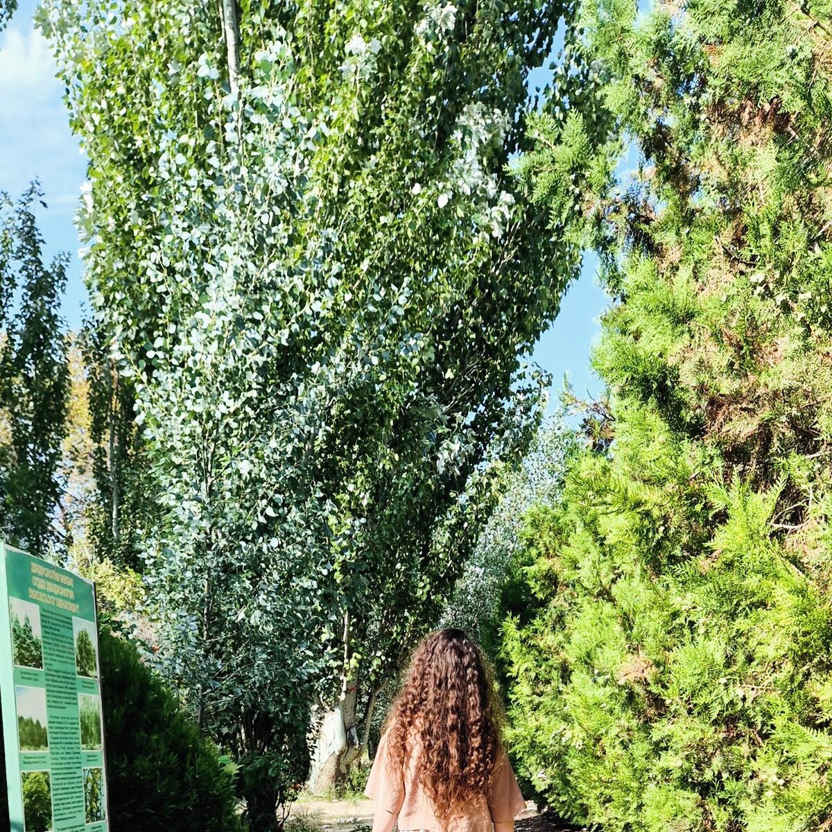 Я, мои волосы