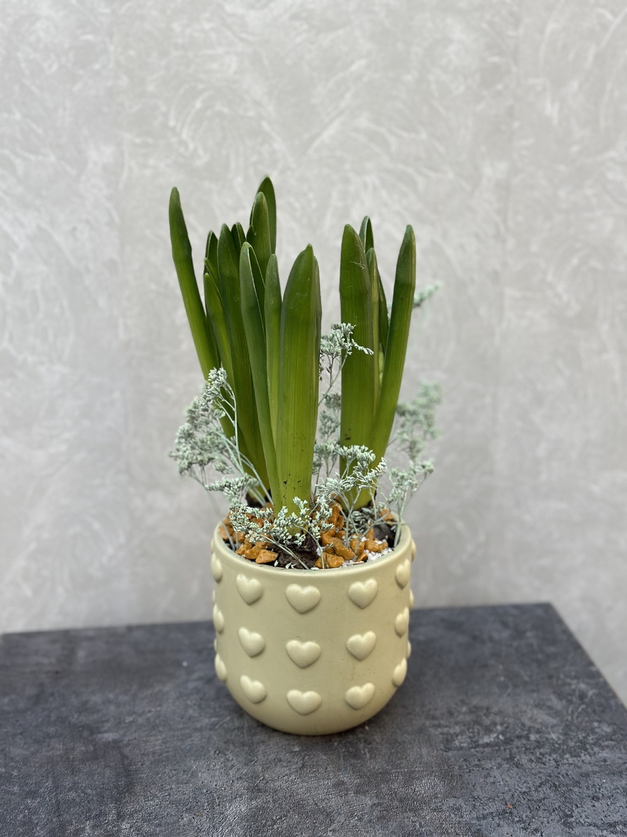 Композиция Вечное влечение