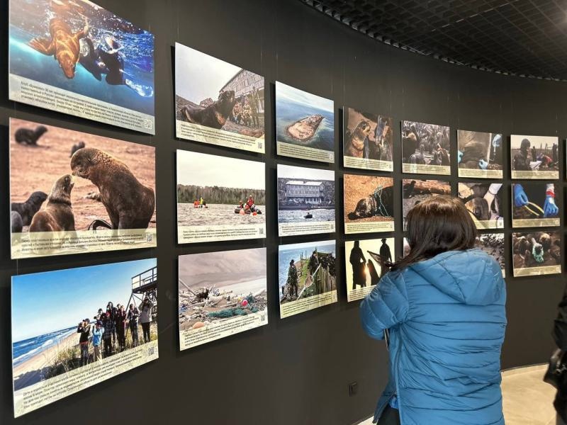 Фото: Кроноцкий заповедник