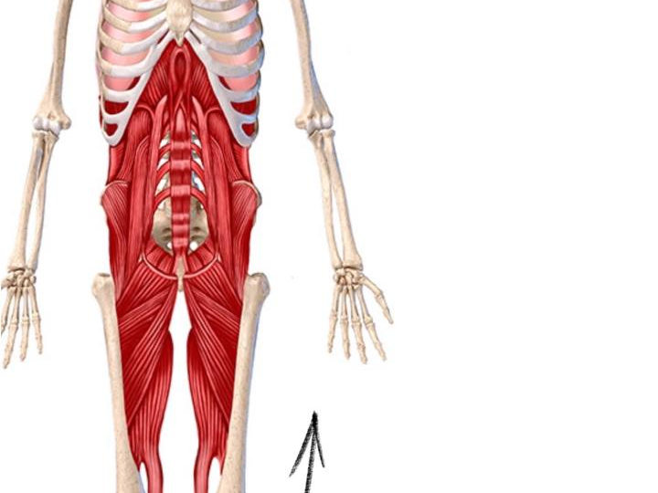 Всё начинается со стоп: почему нельзя работать с телом точечно