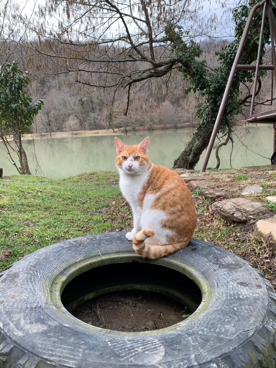 Озеро Барановское, Дагомыс