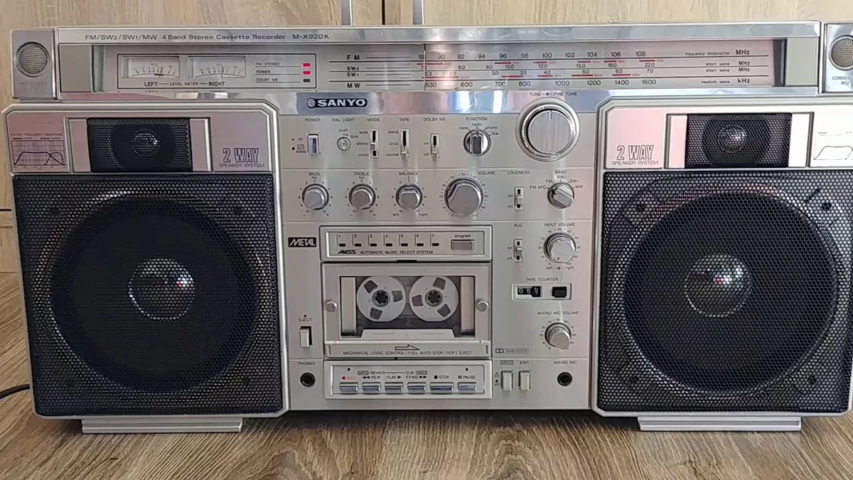 Фото: Youtube @petartzoikov5063