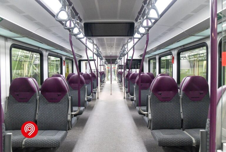    Фото: t.me/DtRoad Александра Горохова