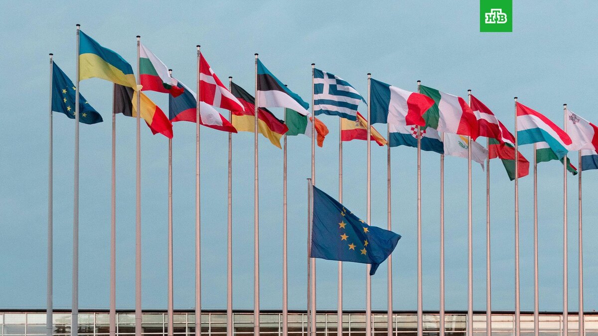    Фото: Lukas S / unsplash.com