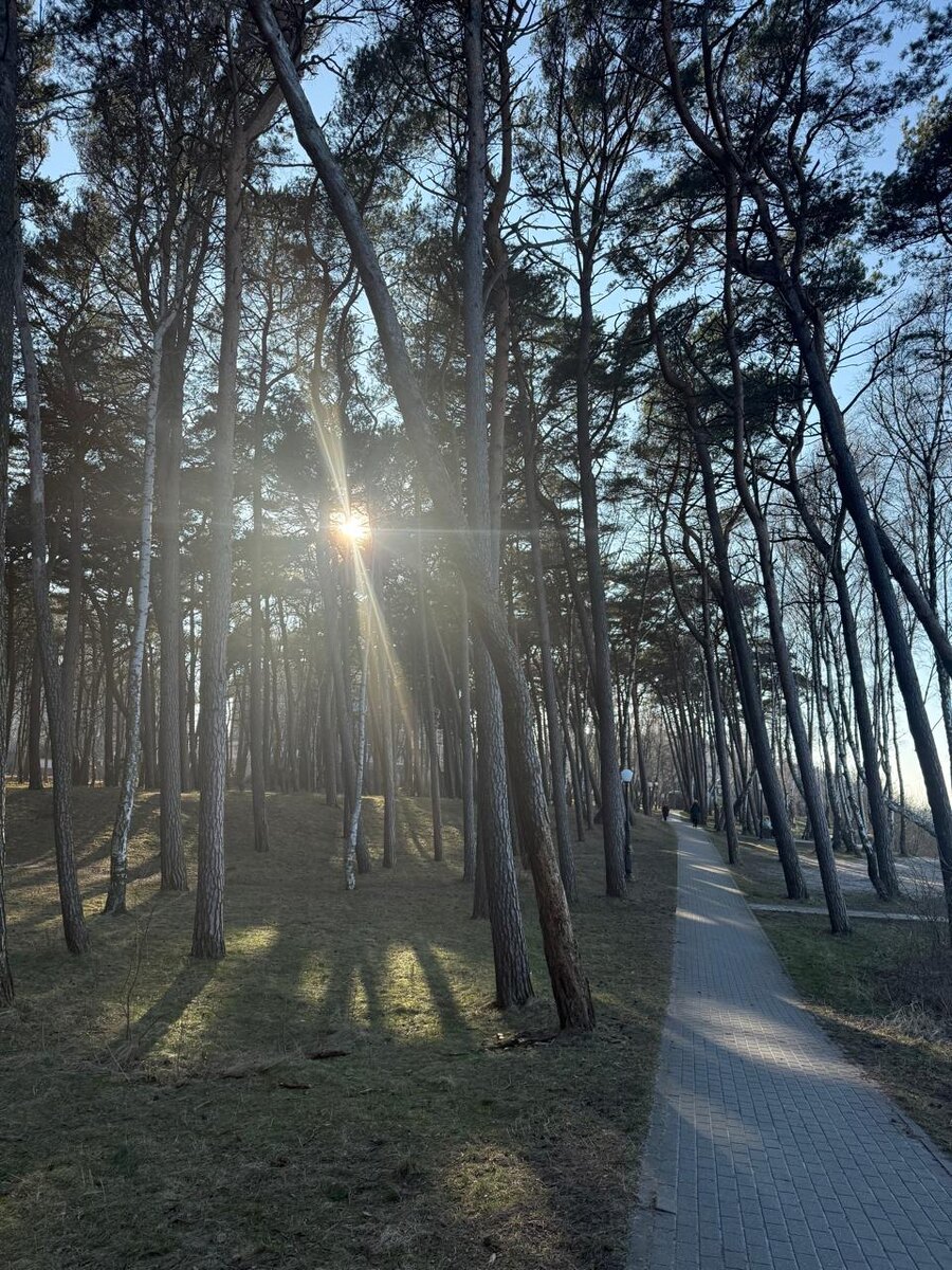 Дорожка к пляжу