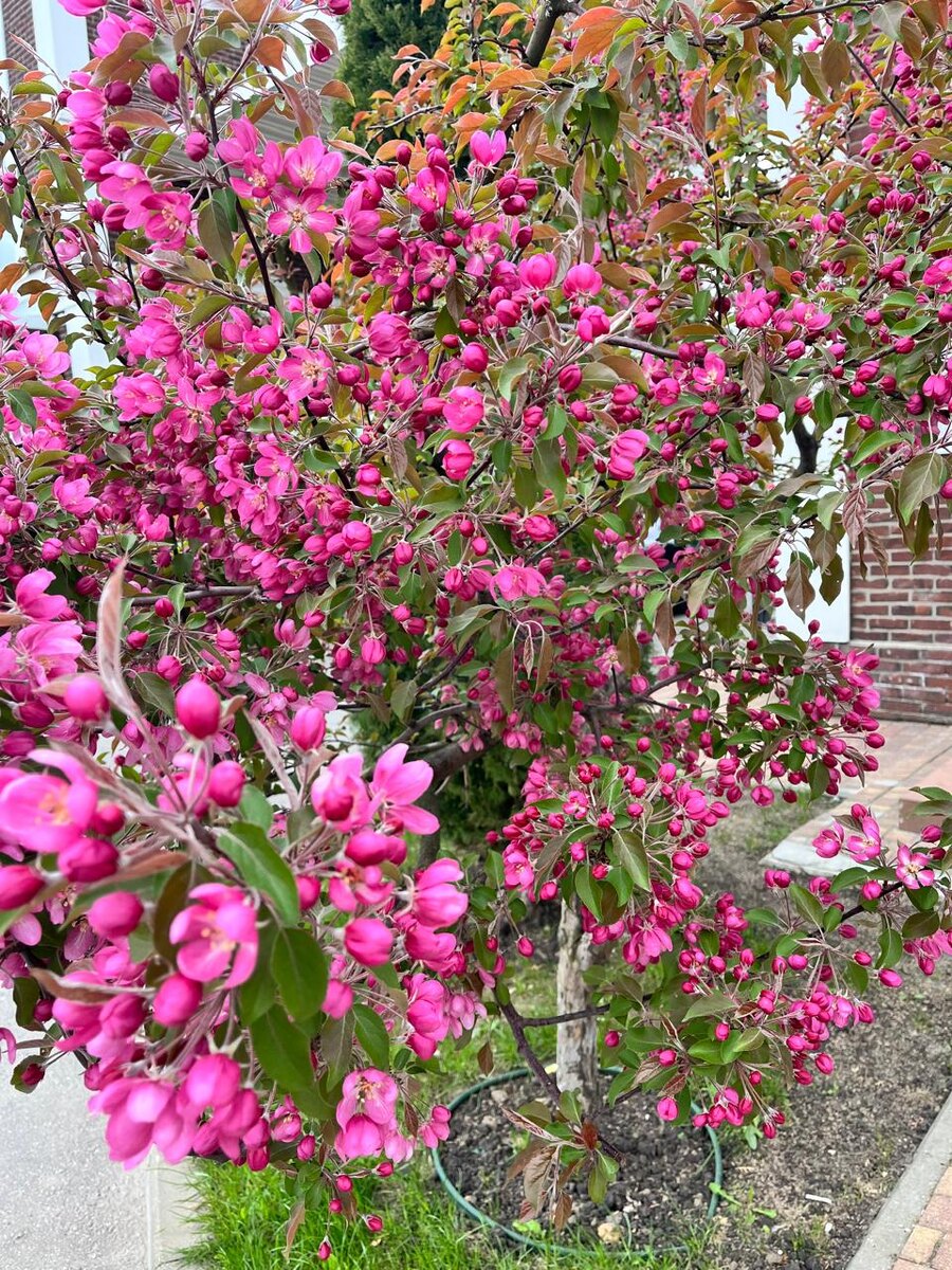 Личный архив автора канала. Фото от 08.05.25