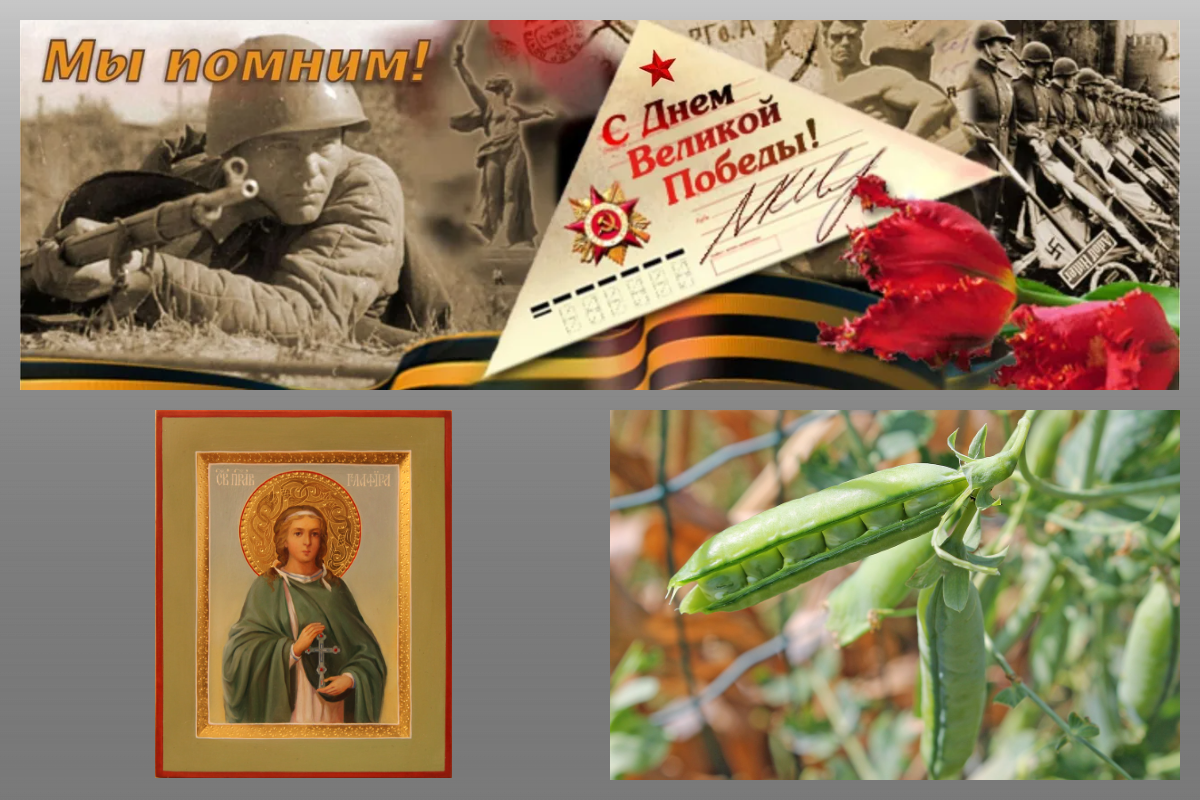 Икона праведной Глафиры Амасийской/azbuka.ru, pixabay.com