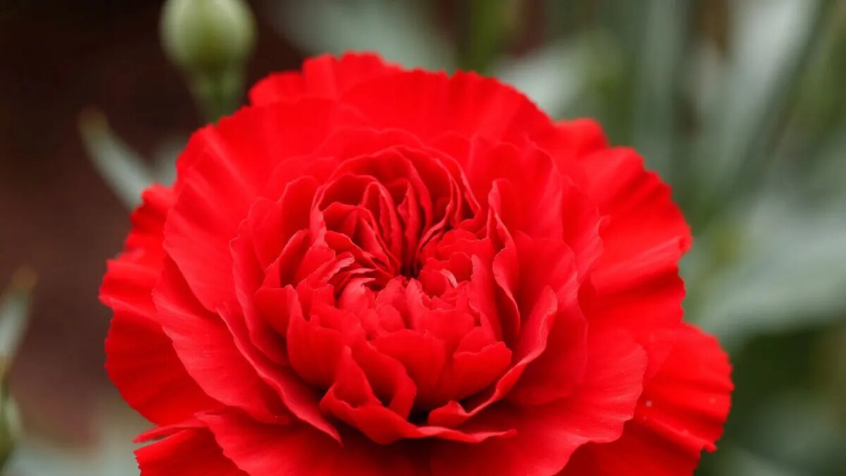    Сгенерировано ИИ