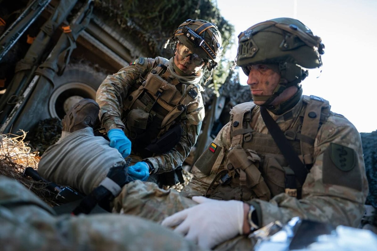     / Источник: (cc) št. srž. Arnas Čemerka