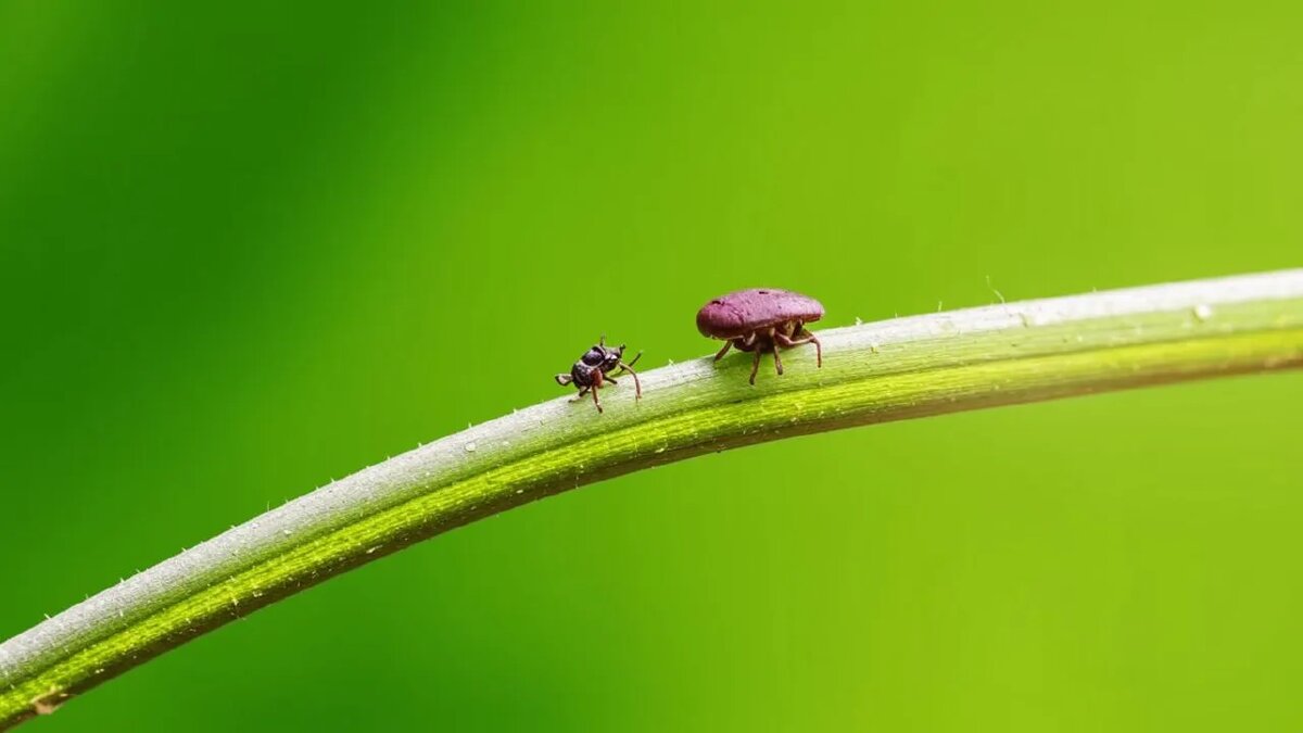    Сгенерировано ИИ