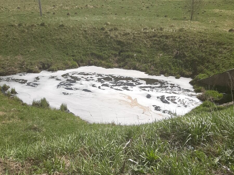    Фото: "Подслушано Гагарин" Юля Баранова