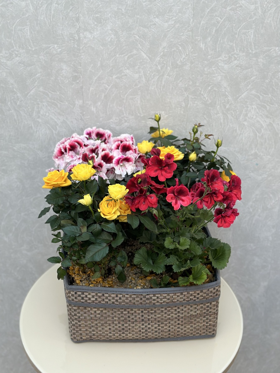 Композиция Цветочный рай