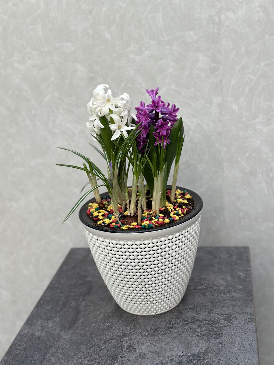 Композиция Грациозная красота