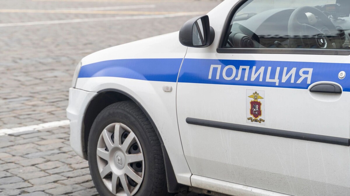    Фото: Ultraskrip/Shutterstock/Fotodom