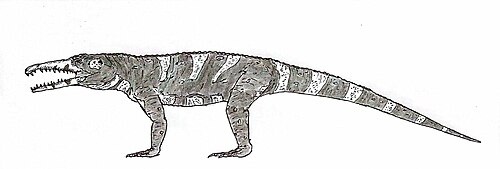 Реконструкция гуалозуха.