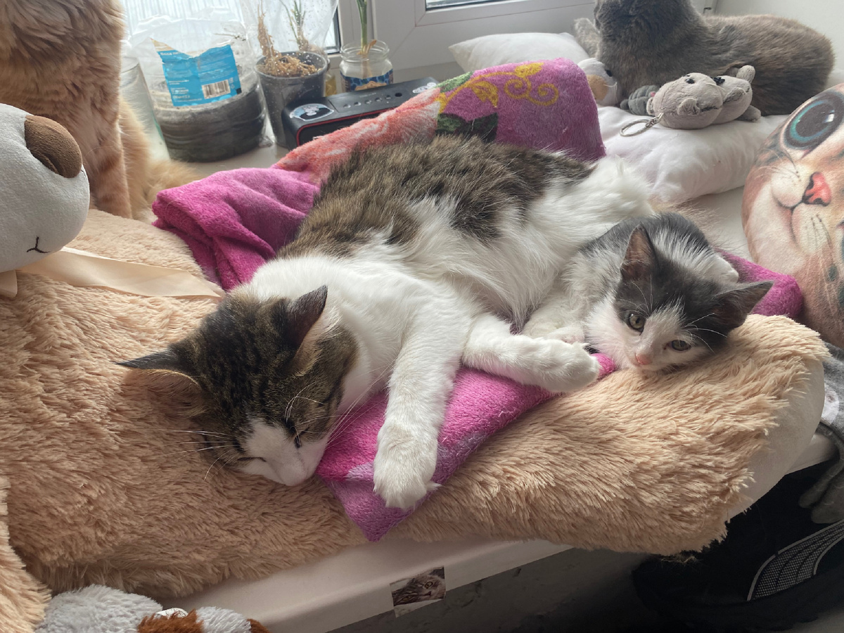 и они тоже набирались 💪🏻 