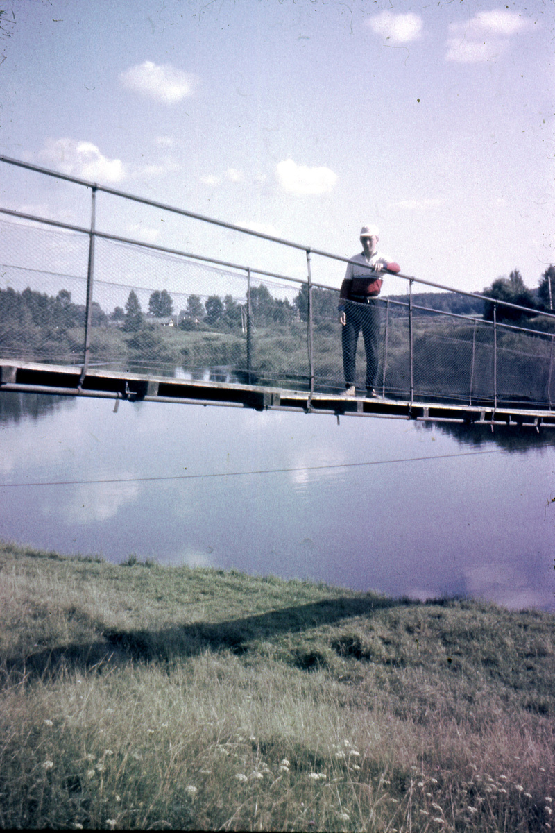 Мост на Мсте. Подвесной. Они до сих пор висят.