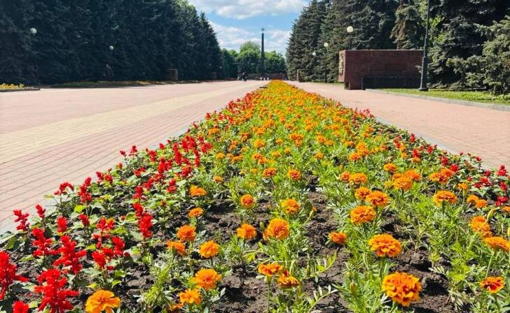    Фото: тг-канал "Город Курск".