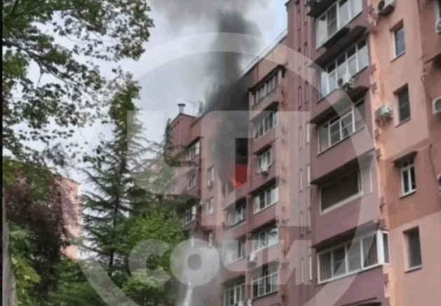    Скриншот видео: t.me/chp_sochi