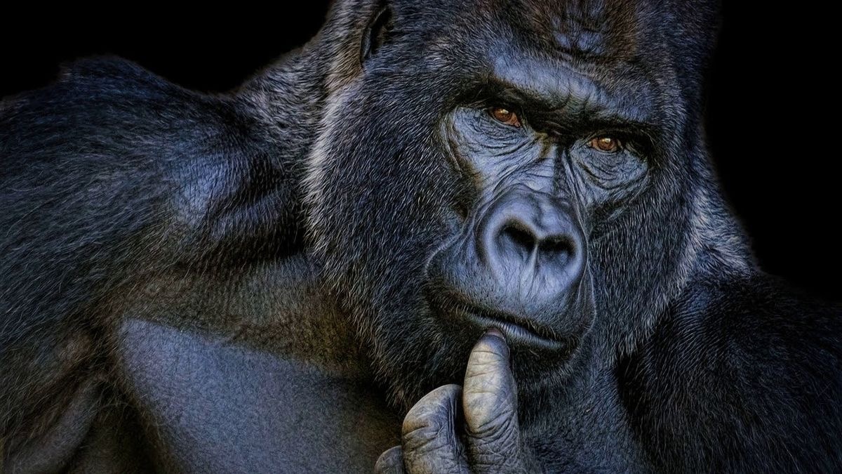 Проблема во мне?