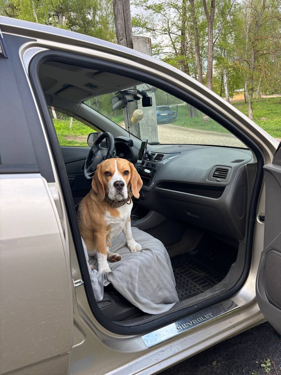 Самый главный пассажир!