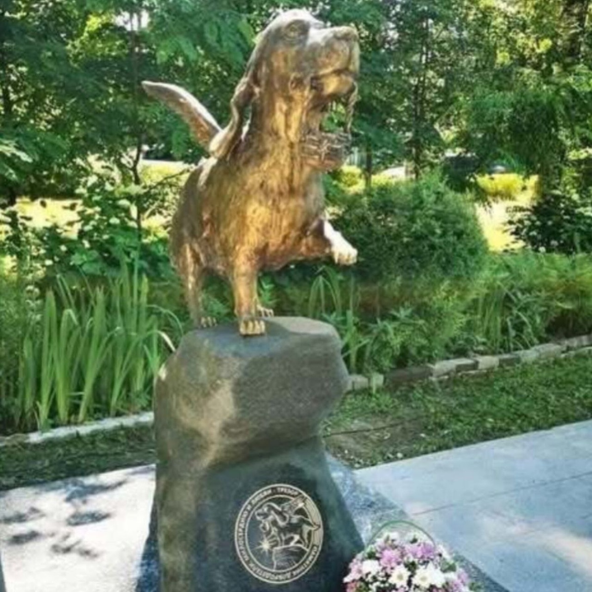 Источник фото: https://ru.pinterest.com/pin/573786808792611000/